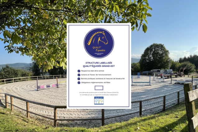 Nos labellisés vous en parlent !